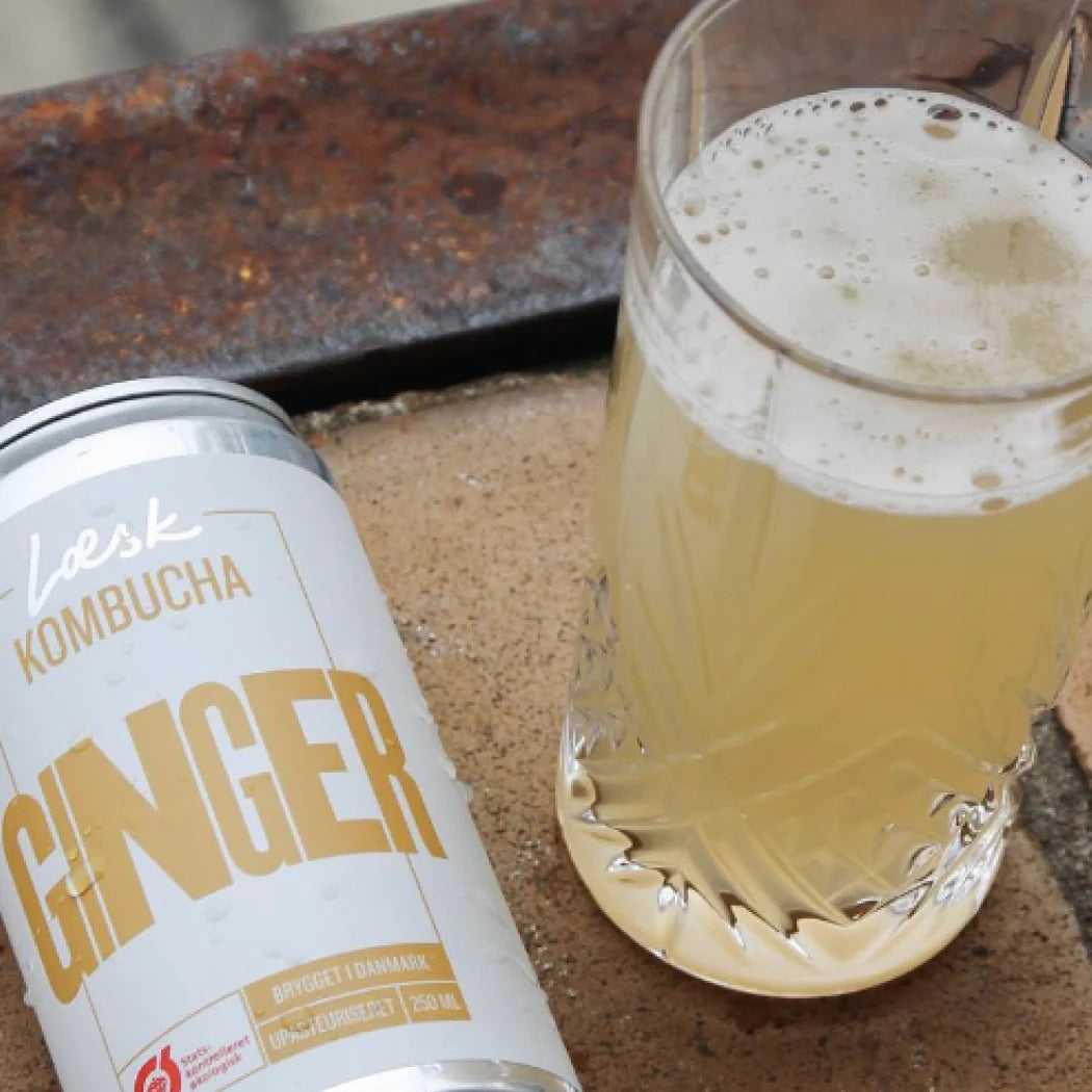 Læsk Kombucha Ginger Drink